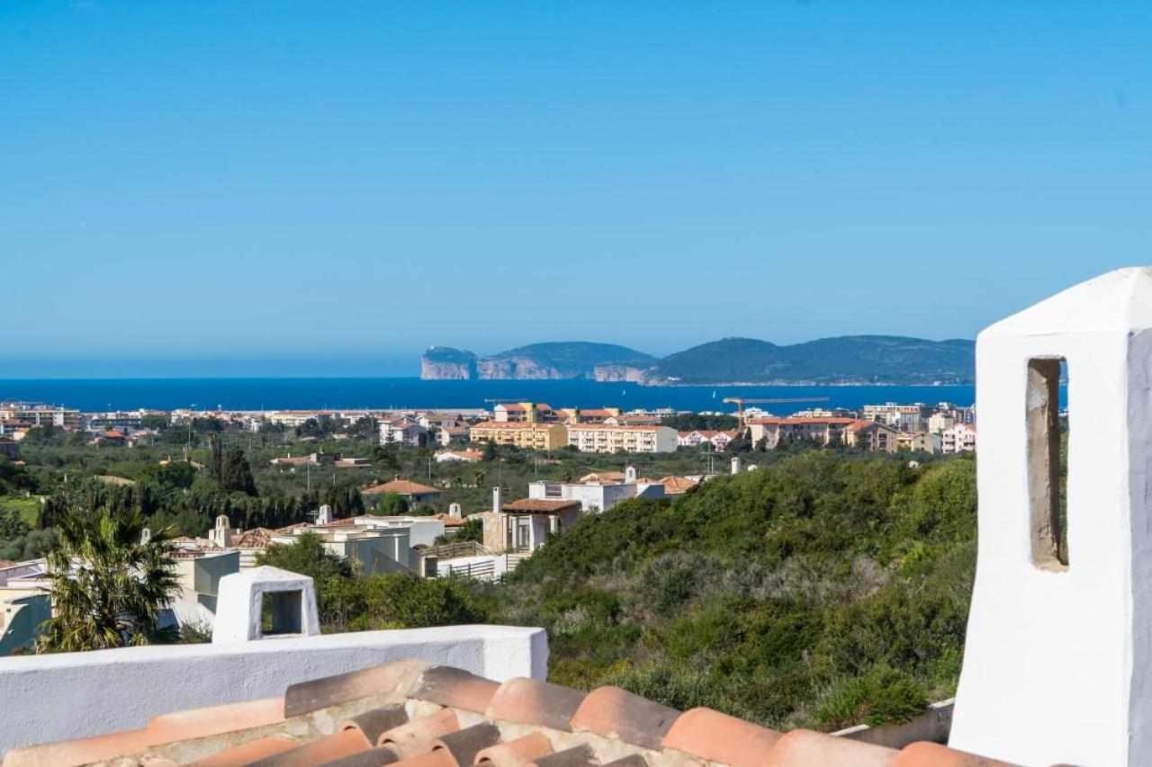 Green Hill Beb ألغيرو المظهر الخارجي الصورة